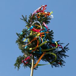 Maibaum 1. Mai